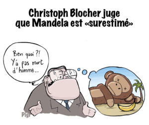 Christoph Blocher, Mandela, singe, raciste