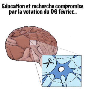 Cerveau, neuronne, Suisse, Europe, isolée, Erasmus